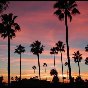 Meet your Wholesale Posher Simply Belle